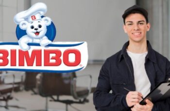 Ofertas de Empleo en Bimbo – Con o sin Experiencia