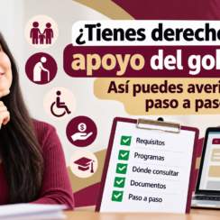 ¿Tienes derecho a un apoyo del gobierno? Así puedes averiguarlo paso a paso